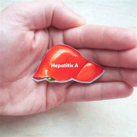 hepatitis a symptome verlauf